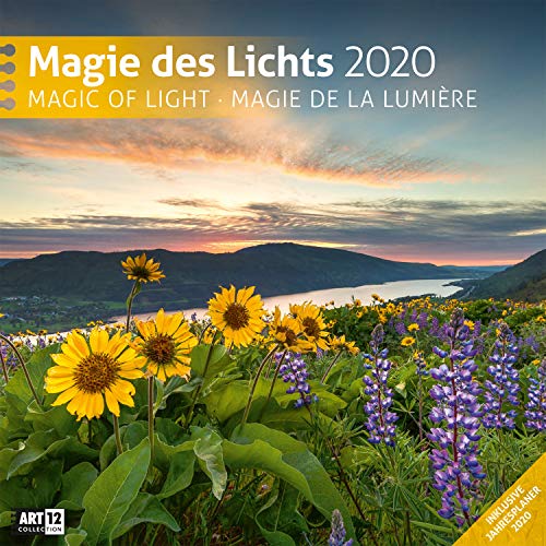 Télécharger Magie des Lichts 2020, Wandkalender / Broschürenkalender im Hochformat (aufgeklappt 30x60 cm) - Ges Livre eBook France