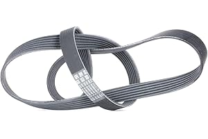 CONTITECH 6PK1310 Cinghia servizi Cinghia Poly-V Cinghia alternatore Cinghia dei servizi