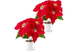 ‎PASCH PASCH Artificial Christmas Star in High Gloss Ceramic Pot (32 cm, Set of 2) | Artificial Poinsettia in Pot | Artificial Poinsettia | Artificial Flowers in Pot | Artificial Flowers Christmas