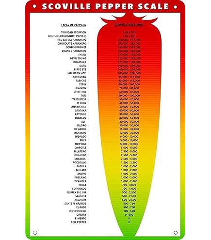 thumbnail image 2 of Chilli Pepper Knowledge Metal Tin Sign Types Of Chillies Chart Wallart Artwork Poster Farm School Office People Cave Bedroom Li 2 of 13