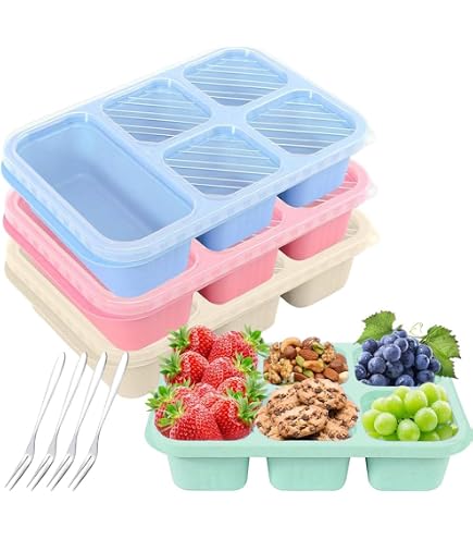 AIERSA Snackbox Mit 12 Fächern – Alles Tidy Für Unterwegs, Büro & Reisen