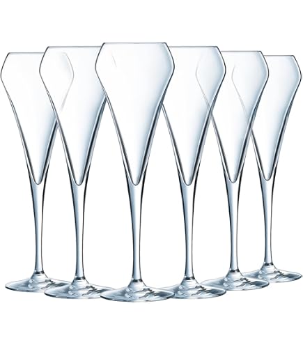 Schott Zwiesel Glas-Set: 6x Champagnerflöten & 6x Burgundergläser – Spülmaschinenfest, Made In Germany
