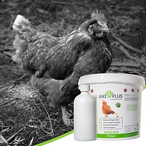 Kieselgur Für Hunde & Katzen - Natürliches Mineralpulver Für Fell, Gelenke & Gegen Flöhe