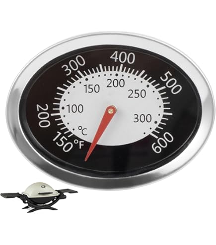 Grill Temperature Gauge Weber Genesis Grill Parts BBQ Future
