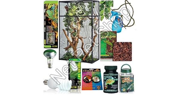 veiled chameleon starter kit