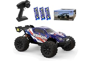 Ledovan Coche teledirigido de 100 km/h, motor sin escobillas, 1:14 de alta velocidad, camión monstruo todoterreno para adultos, 4WD All Terrain RC Auto, 3 pilas (azul)