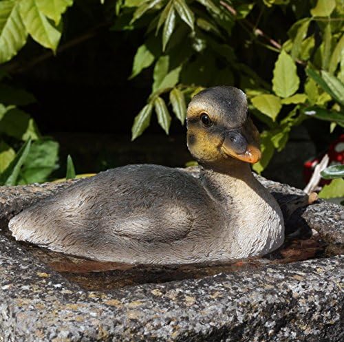 Daisy Duck - Height 12cm Resin Garden, Pond Ornament
