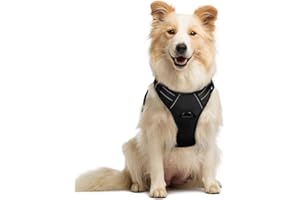 rabbitgoo Dog Harness Medium No Pull Pet Harness with 2 Leash Clips, Adjustable Soft Padded Pet Vest Harness, Reflective No-Choke with Easy Control Handle for Training or Walking, Black, M