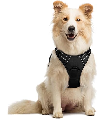 Museruola Regolabile Nylon Per Cani - Trixie Con Imbottitura In Neoprene - Foto 3