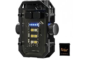 Fay Bless Piccola Torcia, Mini Torcia Ultra Portatile da 800 Lumen con Luce da Lavoro Magnetica, USB C Ricaricabile (GyroLight Nero)