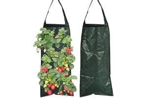 LALASTYLE 2PCS Hanging Planter Grow Bags, Garden Hanging Planting Bags With 8 Holes for Flowers, Strawberry Tomato Planting, Breathable (Green)