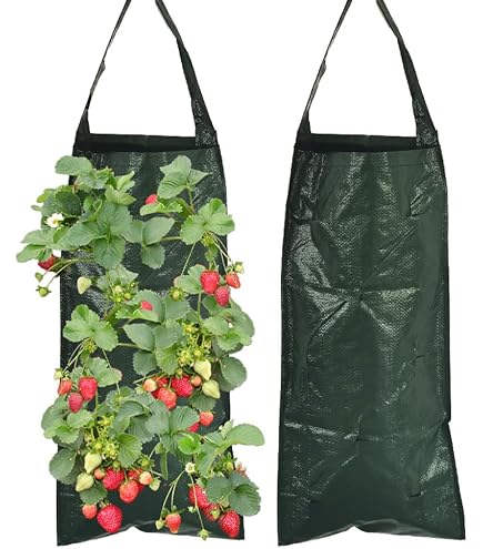 Rouleau Fibre De Coco Naturelle 50 X 200 Cm – Doublure Panier Suspendu, Anti-Glisse, Décor & Jardin