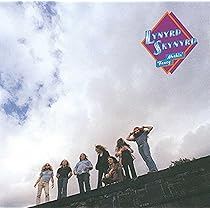 Lynyrd Skynyrd - Street Survivors: Amazon.nl: Muziek
