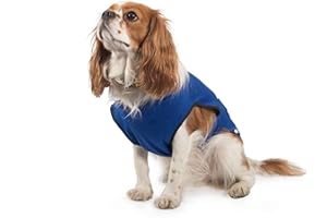 ANCOL - Chaleco refrigerante para Perros