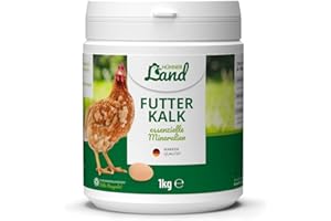 HÜHNER Land I Feed Citron Vert pour Poulets 500g - Minéraux Essentiels pour des os Solides et des coquilles d'œufs fermes, mélange Naturel pour l'alimentation des Poulets à Base d'algues calcaire