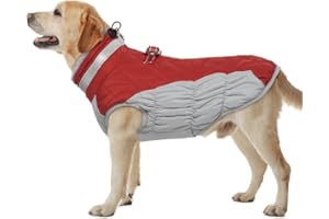 Hjumarayan Hundemantel für Kleine Mittelgroße Grosse Hunde, Hundemantel Winter Warme Wintermantel Hund Hundejacke Wasserdicht Hunde Mantel Gefüttert, Outdoor Hundemantel Labrador (Rot XL)