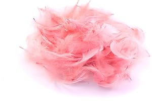 CREATIVERY 5 g de plumes d'oie env. 7-12 cm (rose 148) // Plumes d'oie Plumes décoratives naturelles