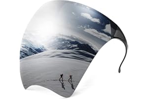 FEISEDY Occhiali da Sole Antiappannamento Occhiali-stile Visiera Protettiva Face Shield Occhiali da Sole con Protezione per il Viso Uomo Donna Grandi B2781