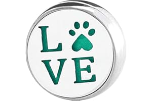 Colorful Home Tool Aromatherapie-Schnalle Mundschutz Magnetische Clips Parfüm Ätherisches Öl Diffusor Medaillon Schnalle mit Waschbar Diffusor Filz Pad für Gesicht Mundschutz Kleid Brosche Frau Mann