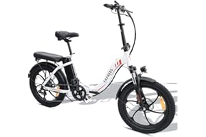 Fafrees F20 - Bicicleta eléctrica para ciudad (20 pulgadas, batería de 36 V, 15 Ah, tire, 250 W, bicicleta eléctrica de 150 kg, pedelec, máx. 25 km/h, Shimano 7S, para hombre y mujer)