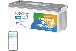Redodo 24V 100Ah Bluetooth Batteria Litio, Batterie LiFePO4 con Protezione a Bassa Temperatura, BMS 100A, 2560Wh, Ricaricabile, Perfetta Batteria di Ricambio al Piombo per Camper, RV, Caravan