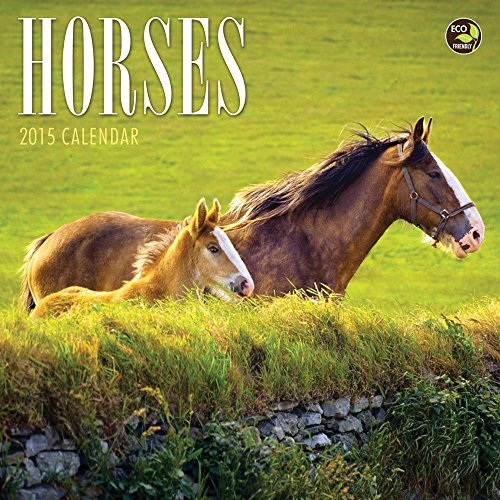 2015 Horses Mini Calendar by TF PUBLISHING (2014-06-30)