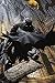 Produktbild Batman - Comic - Stalker - Poster Plakat Druck - Größe 61x91,5 cm + 2 St. Posterleisten Kunststoff 62 cm schwarz