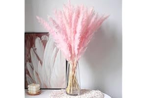 SONGJUM 30 Pezzi Naturali Secchi Pampa Erba Vera pennacchi Phragmites Bouquet Fiori Secchi Decorativi Decorazione della casa Bouquet Matrimonio Decor Utilizzato in Soggiorno Sala da Pranzo Decor (Rosa)