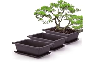 Hilai 5 macetas y bandejas de entrenamiento para bonsái, macetas de plástico, macetas de entrenamiento cuadradas de plástico con bandejas cuadradas para flores suculentas, café