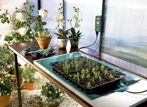 Bio Green Wärmeplatte, grün, flexibel, 25 x 35 cm, - 2