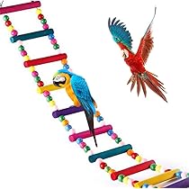 Giochi Per Uccelli - 2 Pezzi, Altalene Legno Per Pappagalli - Foto 12