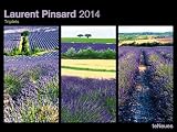 Triplets 2014 by