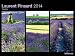 Triplets 2014 by