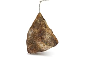 CESMAR S.A.S Guanciale Barbozza Norceria Umbra | senza glutine| prodotto artigianale di qualità| 1,1k | Salumificio Coccia Sesto (1KG)