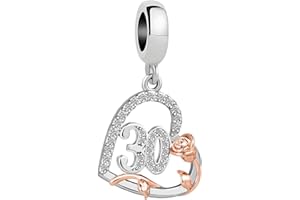 ZakiaHo 12 13 16 18 21 30 40 50 60 70 80 Birthday Charms for Bracelets Womens Rose Flower Love Heart Charm Beads Compatible with Pandora Bracelets