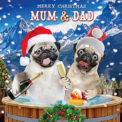 Pug Dogs in Hot Tub Mum & Dad Christmas Card 3D Goggly Moving Eyes