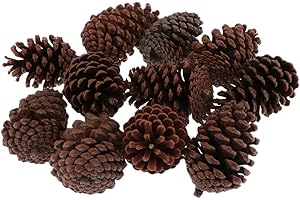 freneci 10 Piezas Grandes Conos De Pino Seco Natural para Decoración Colgante De árbol De Navidad - B 8-10 cm