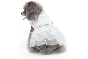 Qcwwy Kleid für Hunde, Prinzessinnenkleid aus Mesh für Kleine Hunde und Katzen, Polyestergewebe, Hundehochzeitskleid, Bequemes, Atmungsaktives Hundekleid für den Sommer (S)
