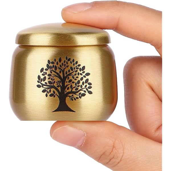 Mini Hart Crematie Urn Ketting Voor As Rvs Memorial As Hanger Keepsake Sieraden voor Vrouwen Mannen (Zwart