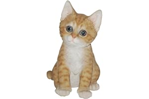 Vivid Arts Pet Pals Playful Kittens Ginger