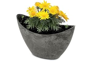 matches21 HOME & HOBBY Ovale Pflanzschale für draußen 24 x 10 x 14 cm - Hohe Vintage Deko-Schale schwarz als Blumen-Topf