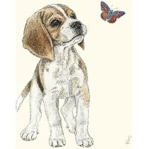 Lot De 20 Serviettes En Papier, 33 X 33 Cm, 3 Couches, Avec Motif De