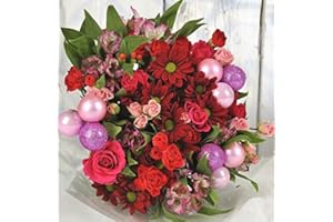 Homeland Florists Luxury Christmas Red & Pink Bauble Bouquet, Flowers Delivery Next Day Prime with Handwritten Xmas Card