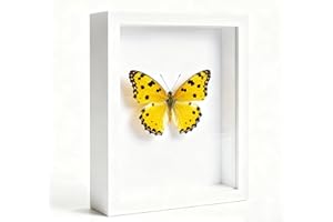 WenYa 6x8 Shadow Box Frame, 17x22.1cm 3D Photo Frame, Memory Box Frame for Memorabilia, Photos, Awards, Medals and Crafts (White, 6x8-Hollow 3cm)