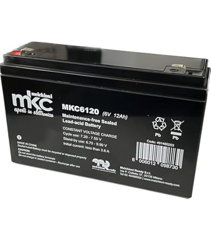 Batteria Piombo Ricaricabile 6V 12Ah - Per Moto Peg Perego, Giocattoli, UPS - Faston - Foto 9