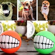 SCHITEC Quietschende Hundebälle, 4 Stück, Latex, Für Kleine & Mittlere Hunde - Mit Beißbumpen