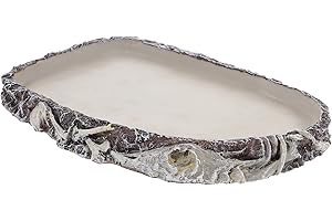 BaoT8YLu Reptilien Futternapf Wassernapf für Schildkröten Futterschale Chamäleon Trinkschale Terrarium Schlange Gecko Wasserbecken Wasserschale Harz Badeschale Tiere Wasserstelle