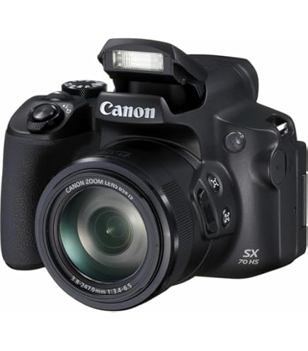Canon PowerShot SX60 HS - 16.1 MP, Digital Camera, Black: Buy  