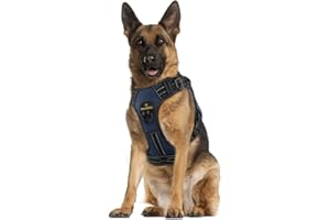 MASBRILL Regolabile Pettorina Cane, Petto Imbracatura per Cani di Taglia Piccola Media Grande, Pettorina Cani Riflettente Morbida Imbottita con 2 Leash Ganci e Maniglia di Controllo Facile