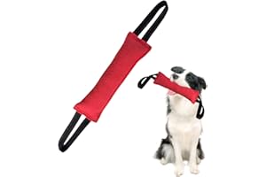 Jodsen Manicotto per Cani,Salsicciotto Cane Addestramento per Il Gioco,Cuscino da Morso Interattivi per Cani con 2 Maniglia Forte,Durevole Giocattolo da Tirare per Cani,Giocattolo da Mordere in Iuta